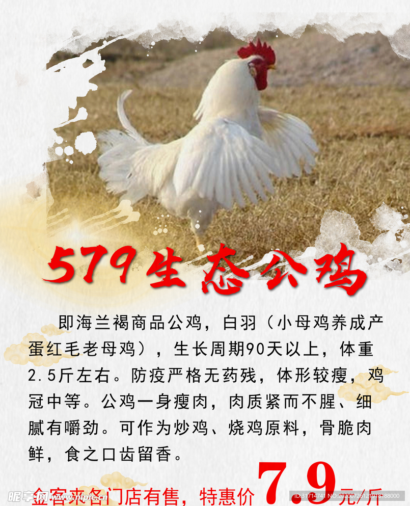 生态公鸡 宣传 促销海报