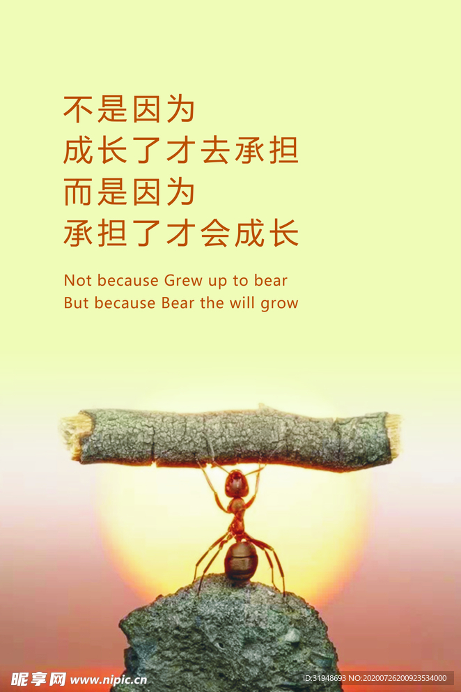挂图