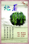 二十四节气 农业