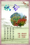 二十四节气