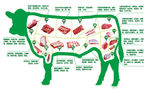 牛肉分割示意图