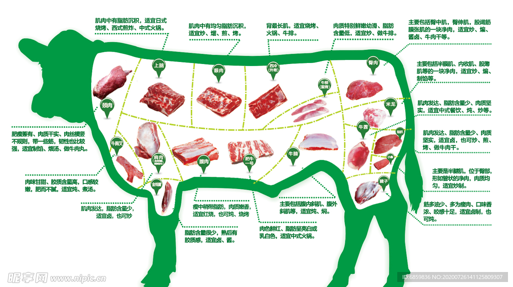 牛肉分割示意图