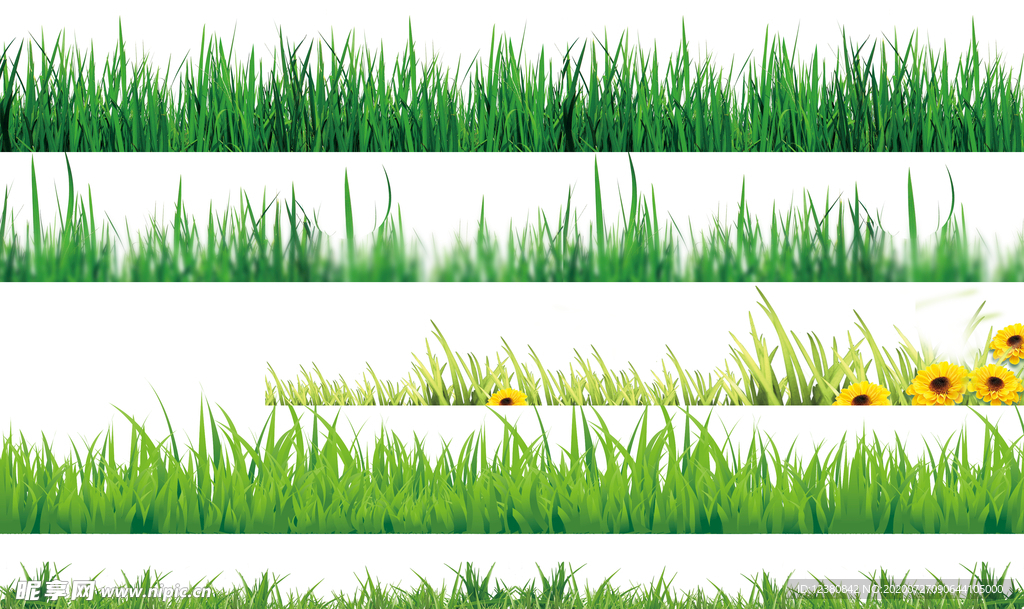 草地