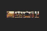 LOGO样机