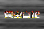 LOGO样机
