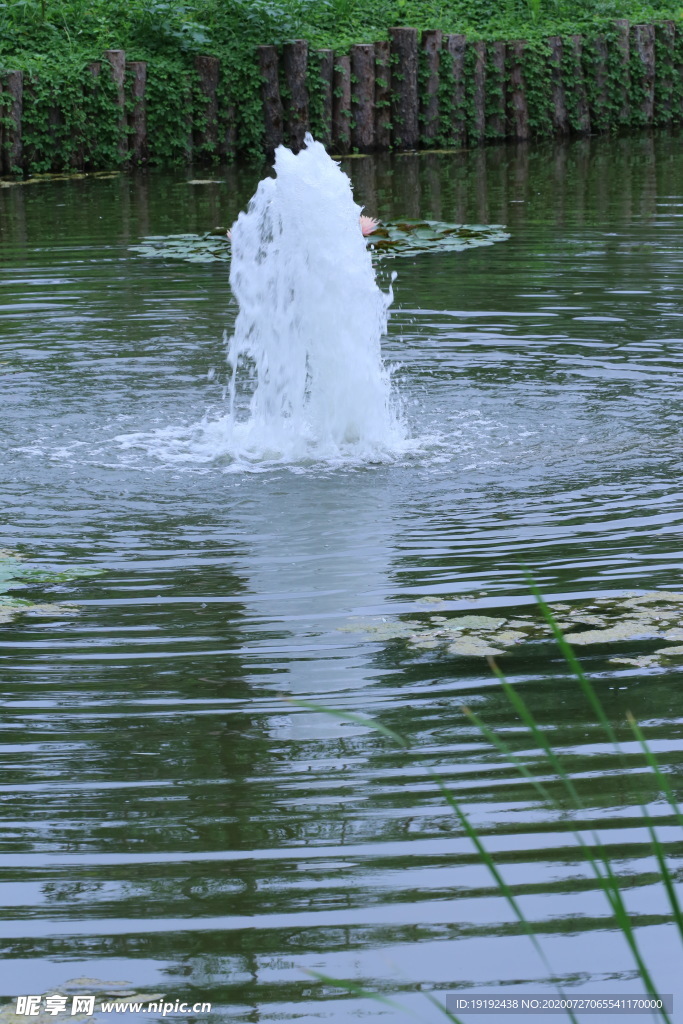 园林风景