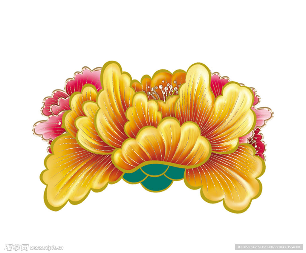 牡丹花图片