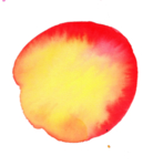 彩色花纹图案