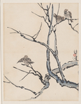 树枝鸟雀国画