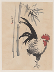国画公鸡