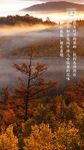 立冬
