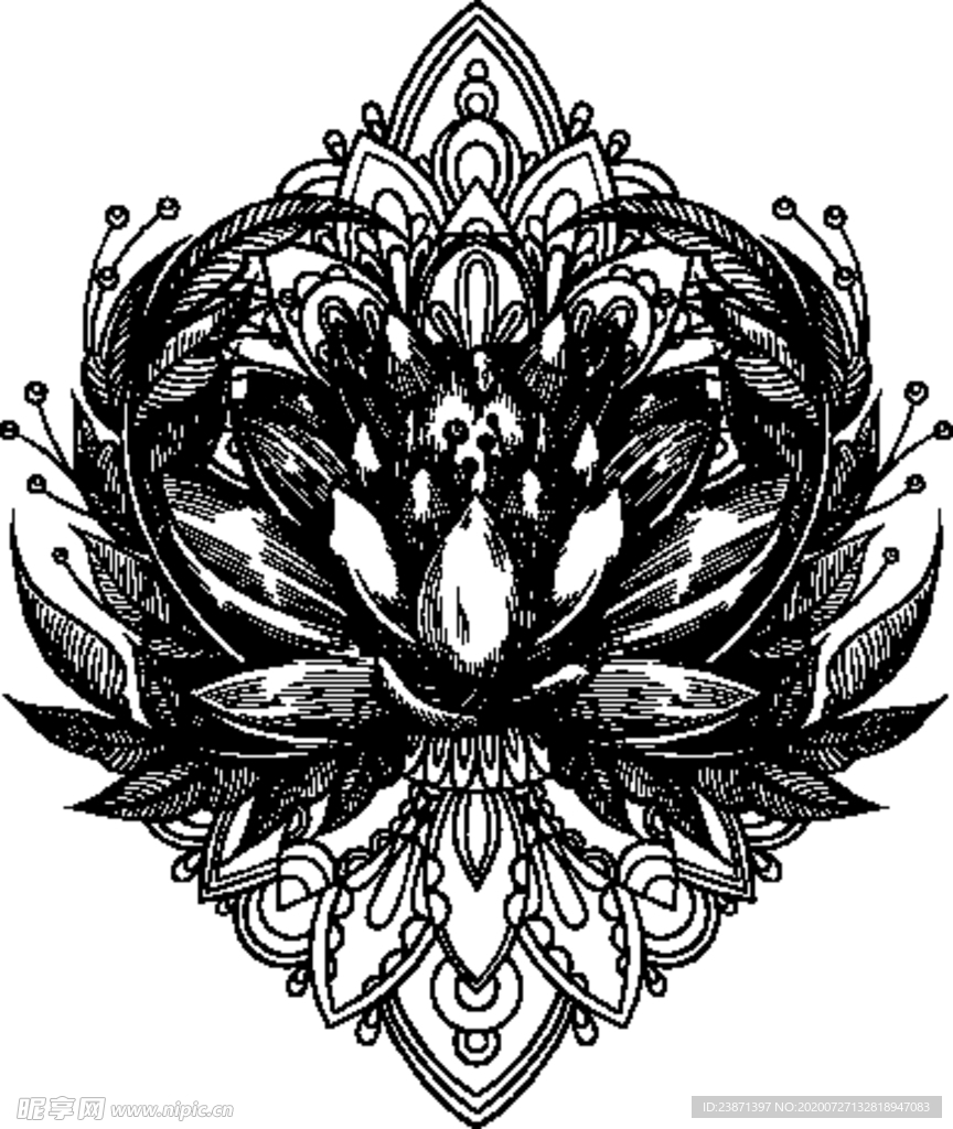 矢量 莲花