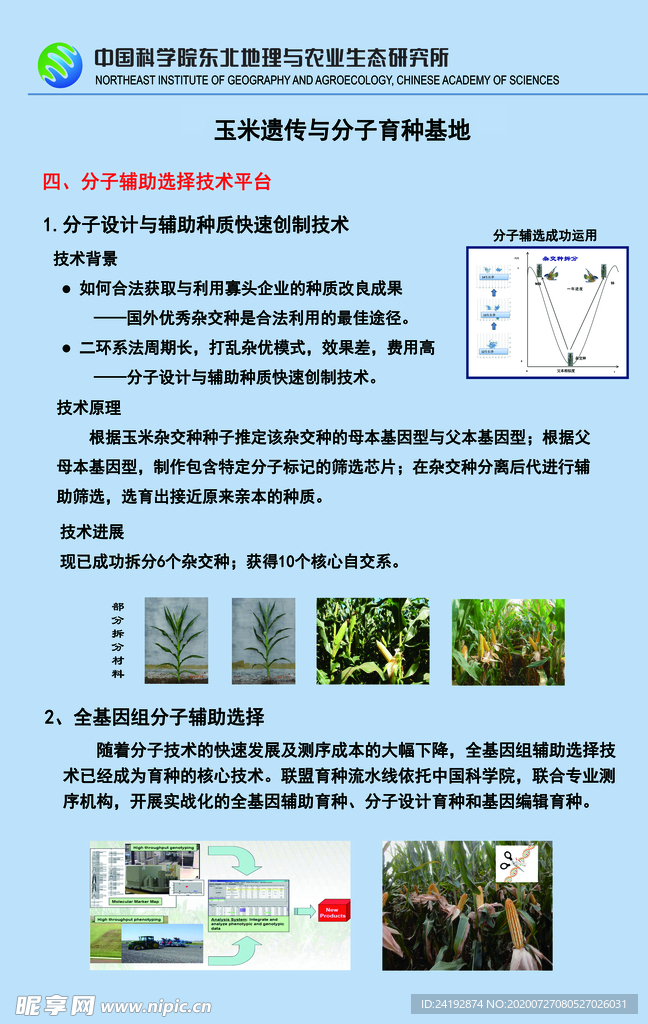 农业大学