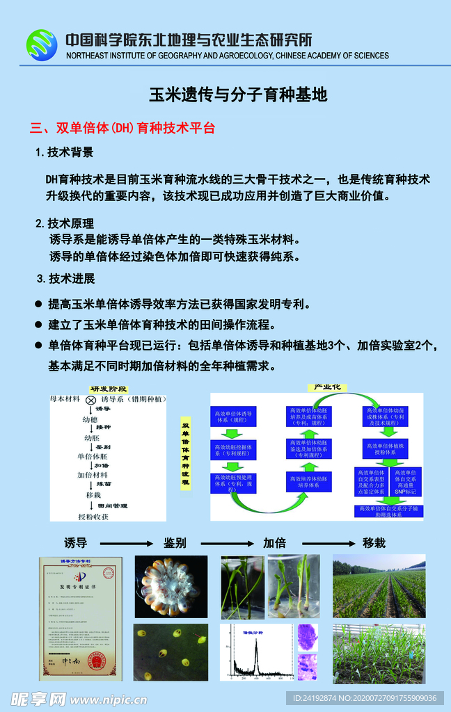 农业文化