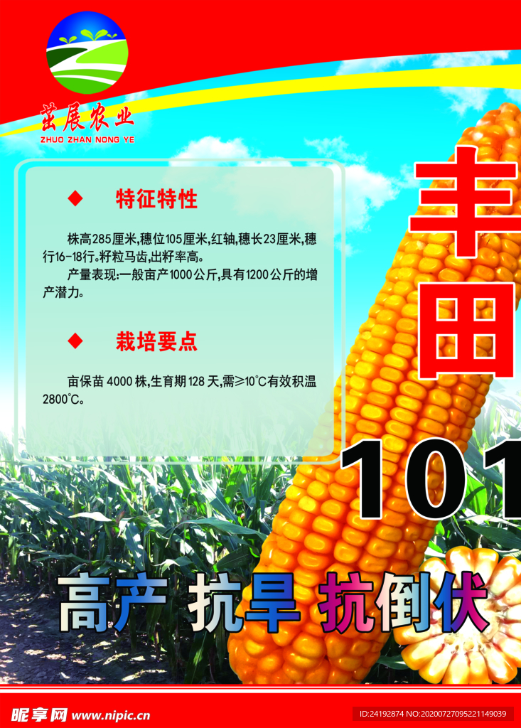 玉米海报