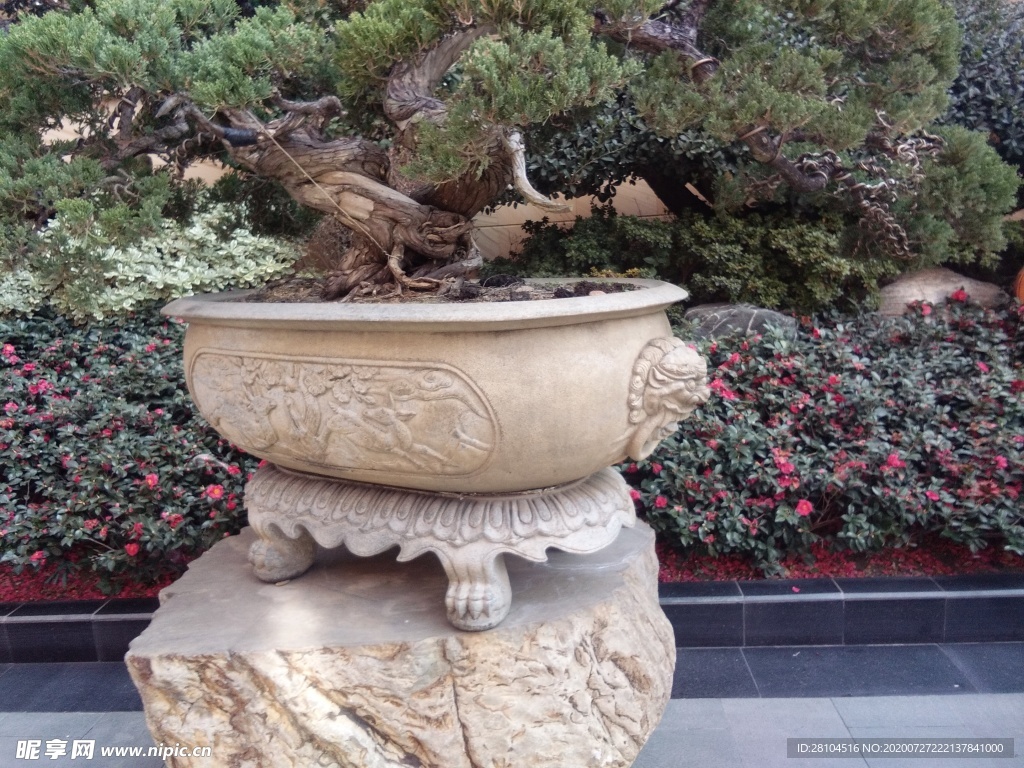 花钵