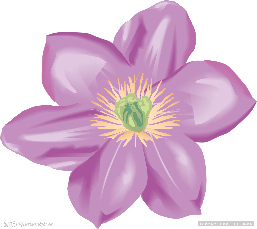 鲜花素材