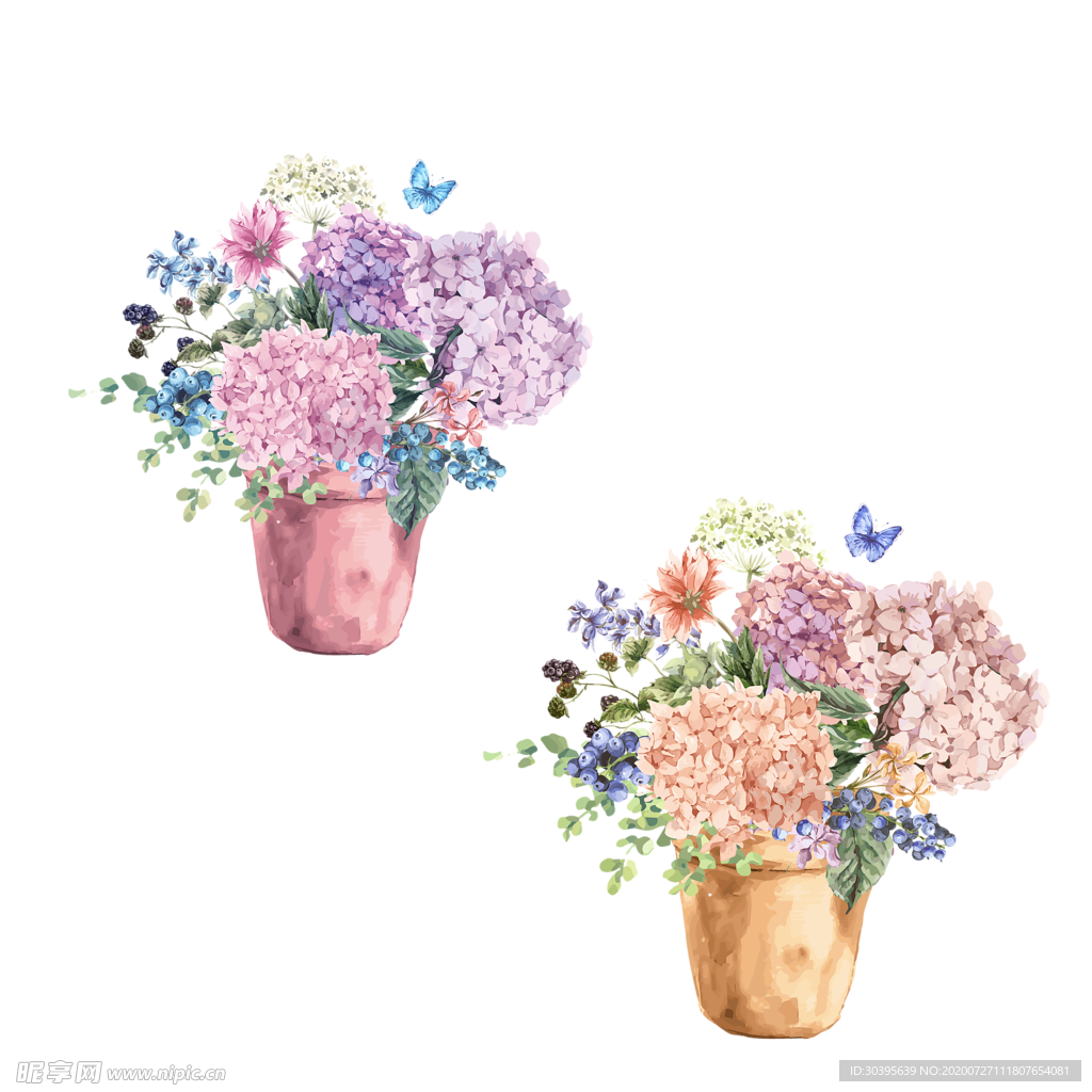 鲜花素材