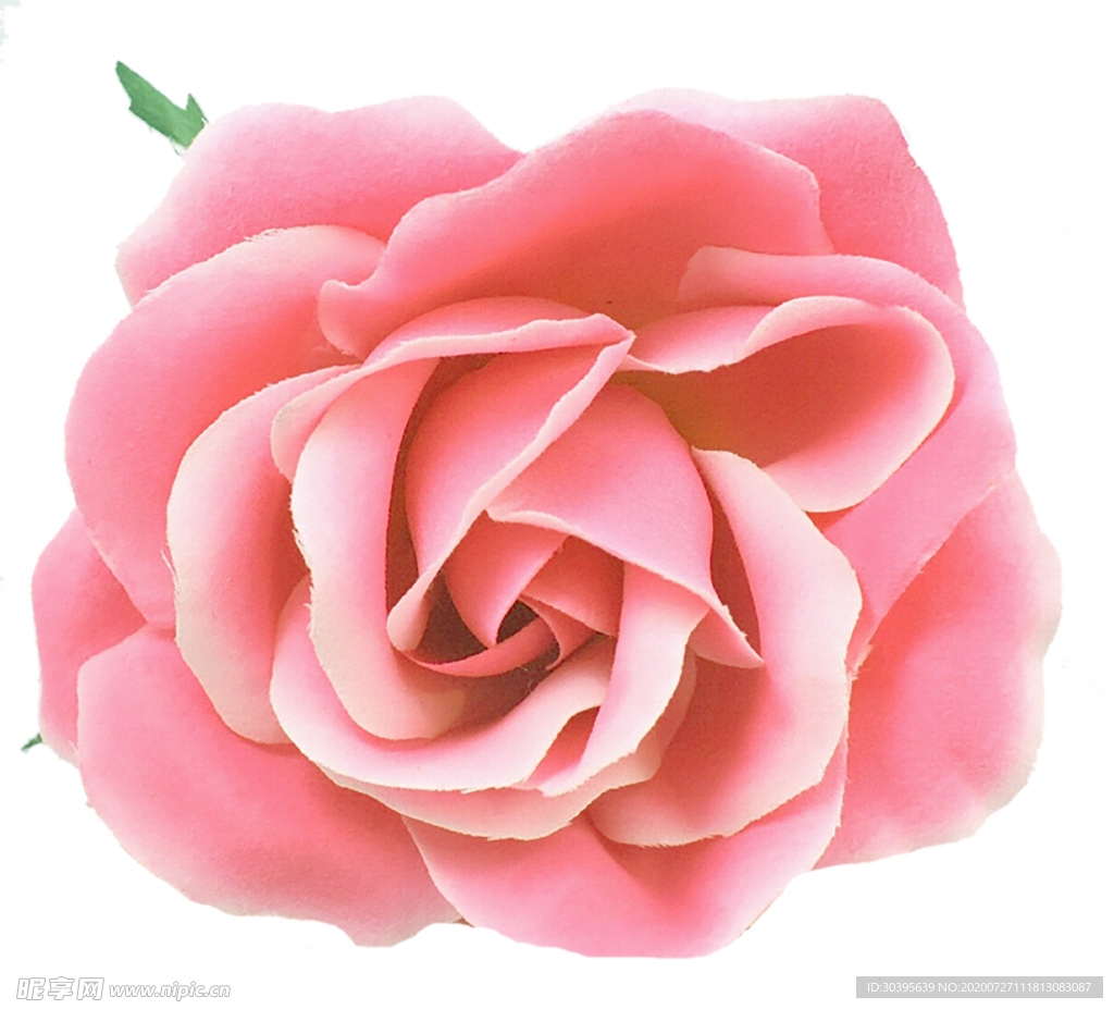 鲜花素材