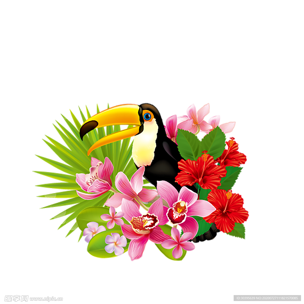 鲜花素材