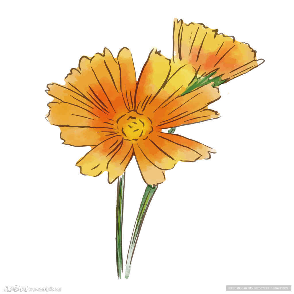 鲜花素材