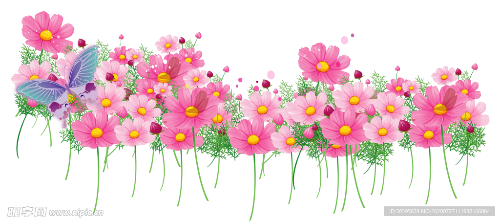 鲜花素材