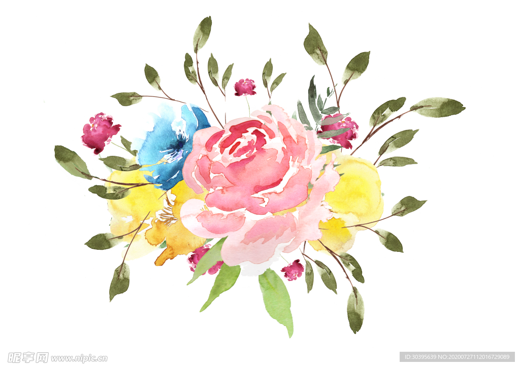鲜花素材
