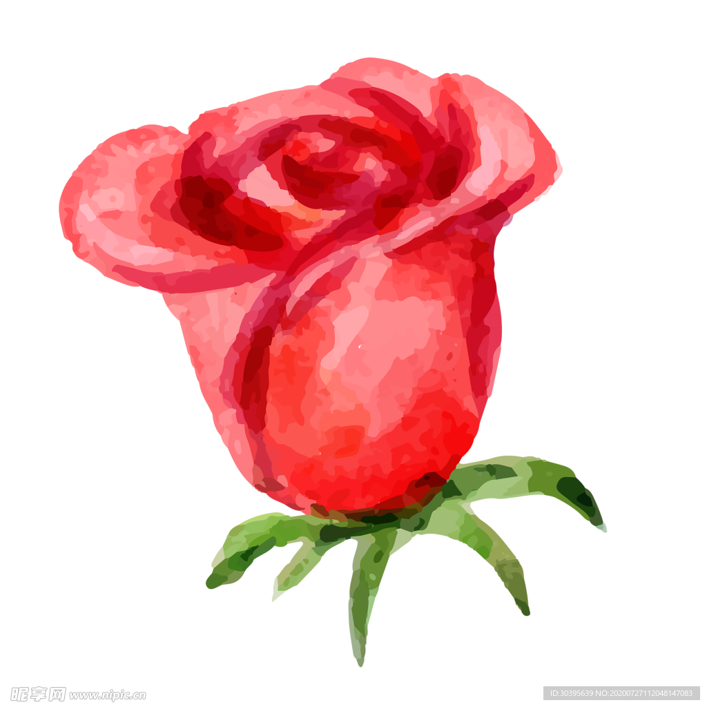 鲜花素材
