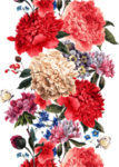 鲜花素材