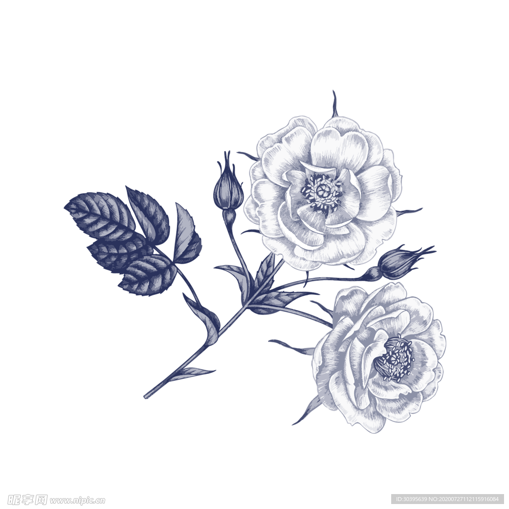 鲜花素材