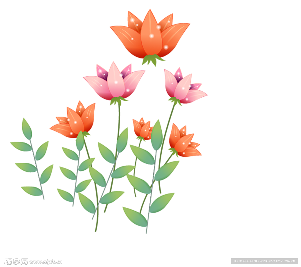 鲜花素材