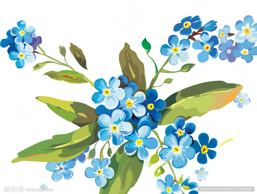 鲜花素材