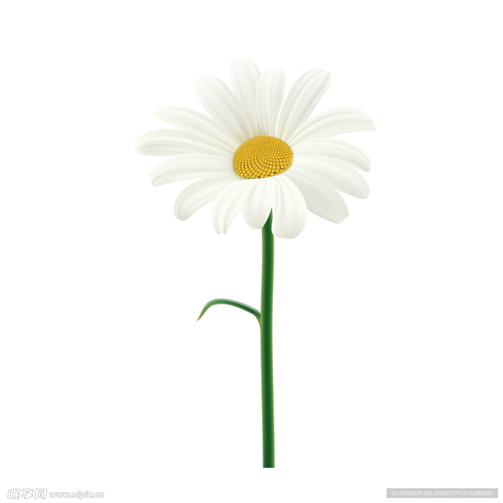 鲜花素材