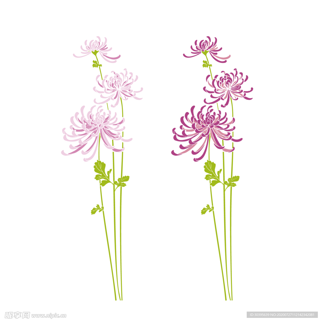 鲜花素材