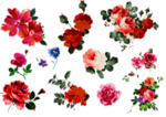 鲜花素材