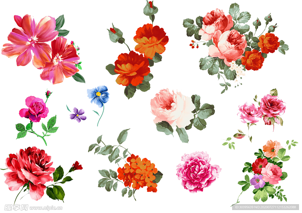 鲜花素材
