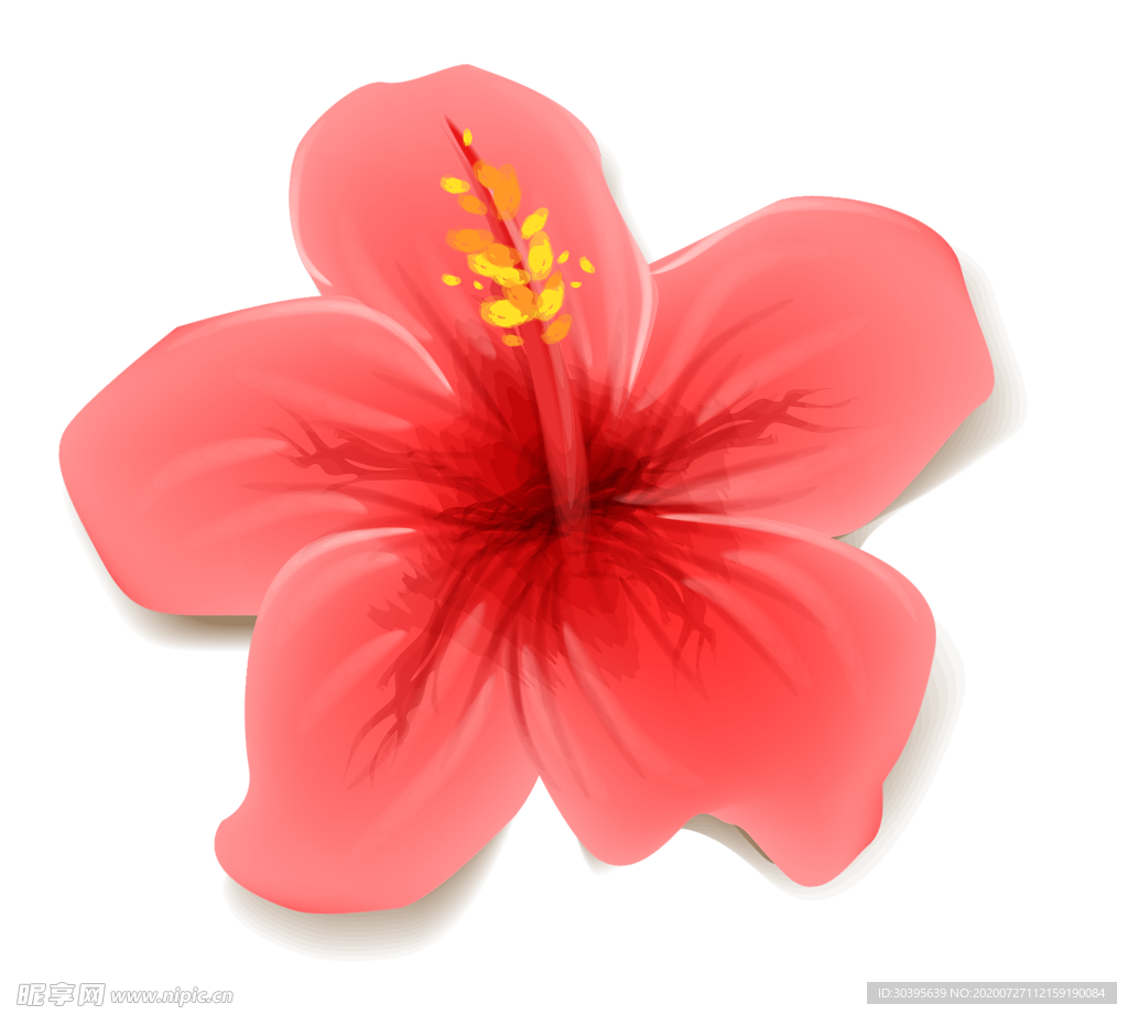 鲜花素材
