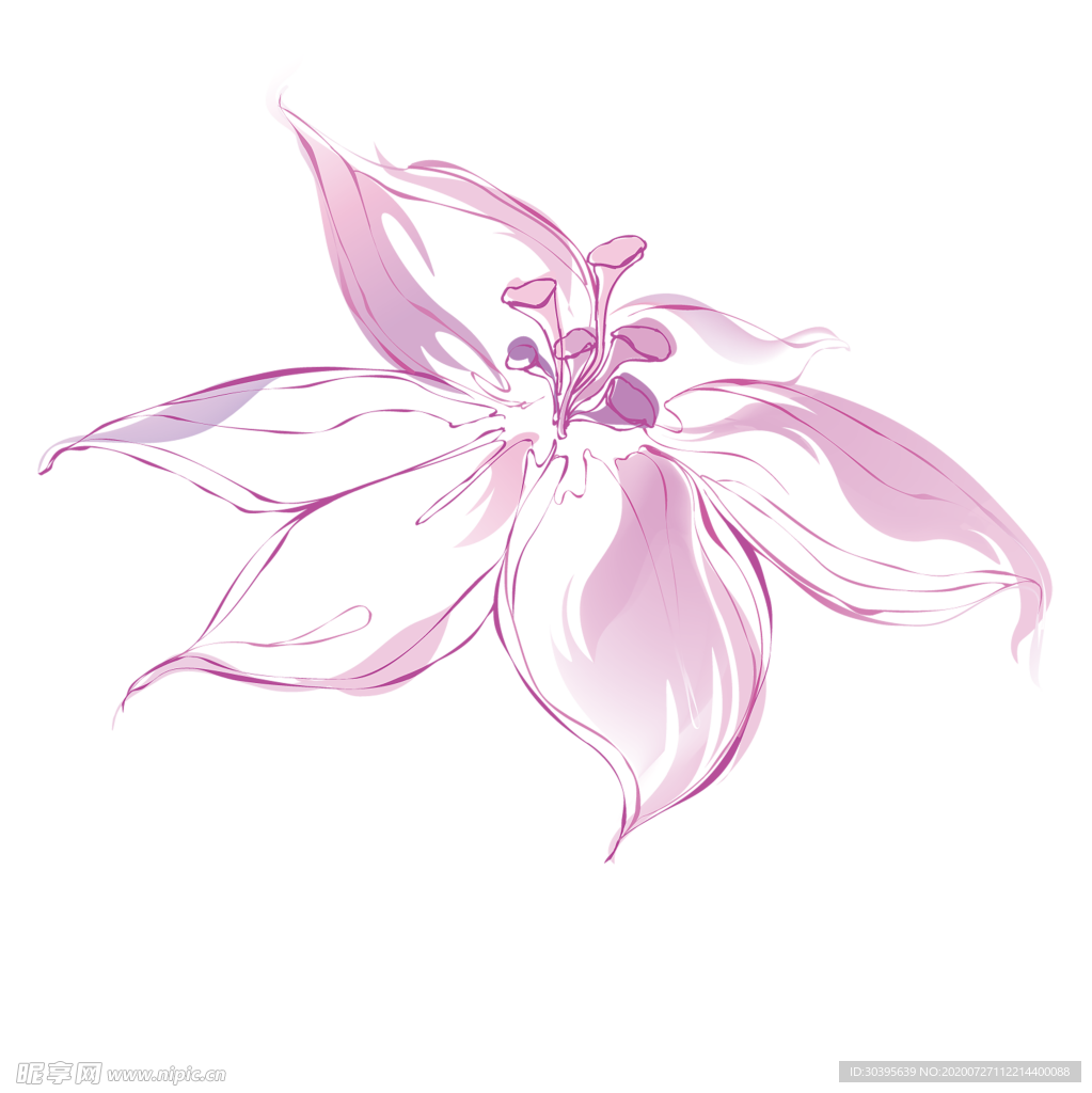 鲜花素材