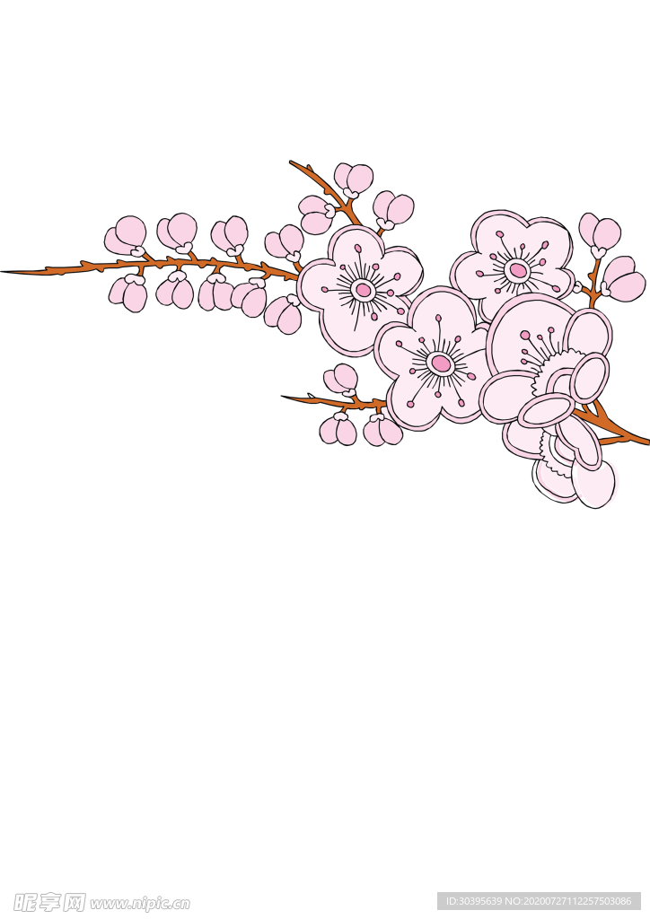 鲜花素材