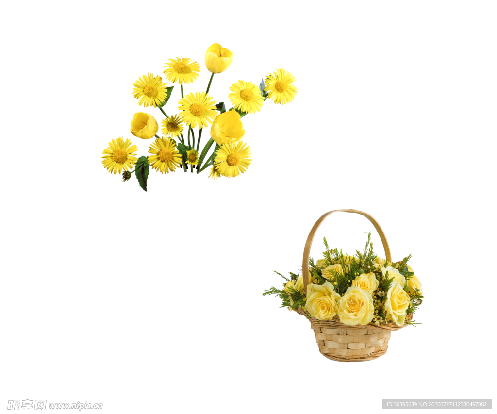 鲜花素材