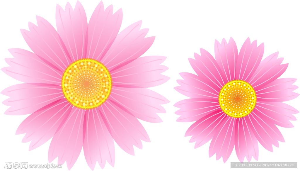 鲜花素材