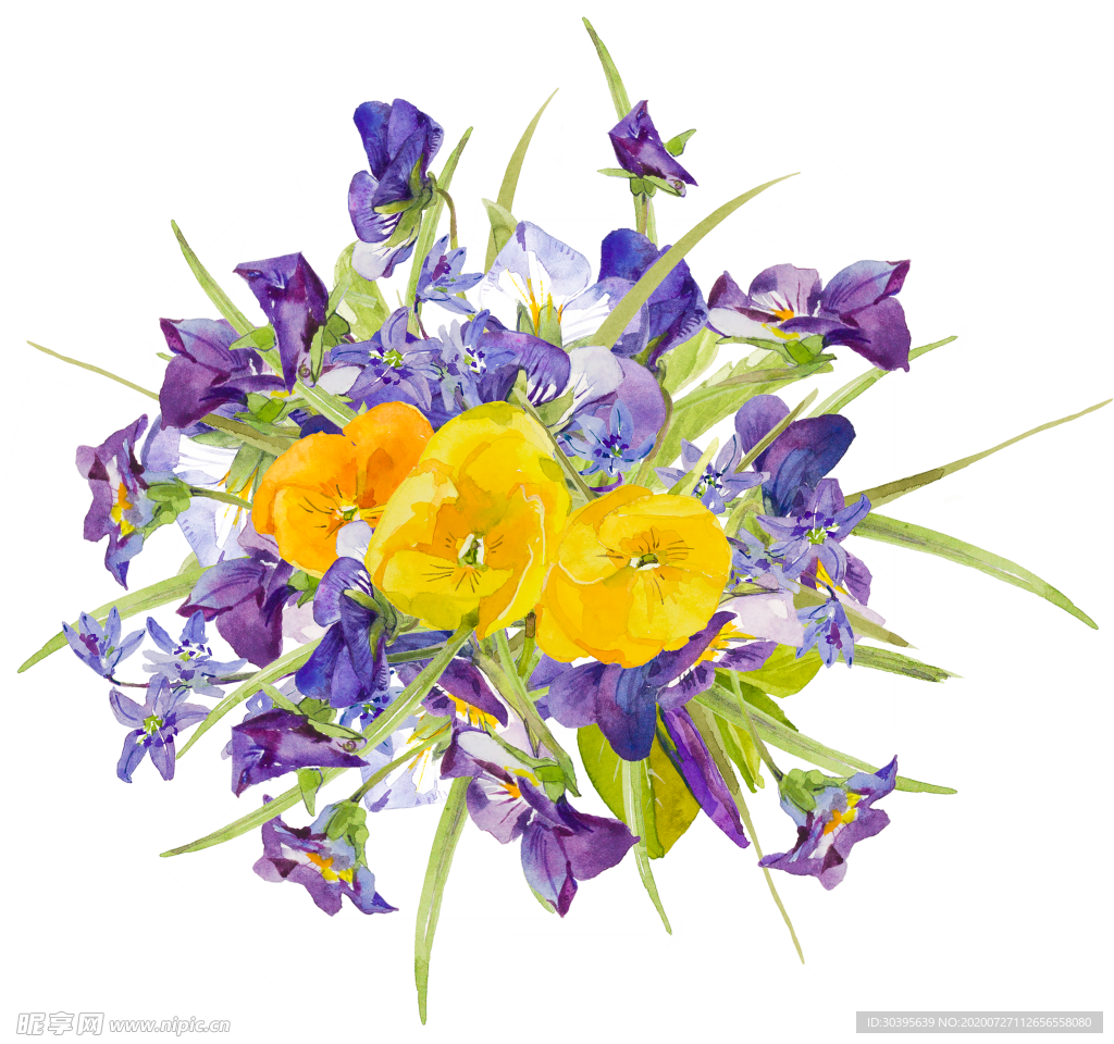 鲜花素材