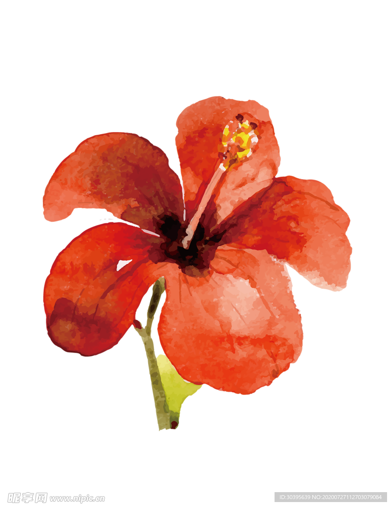 鲜花素材