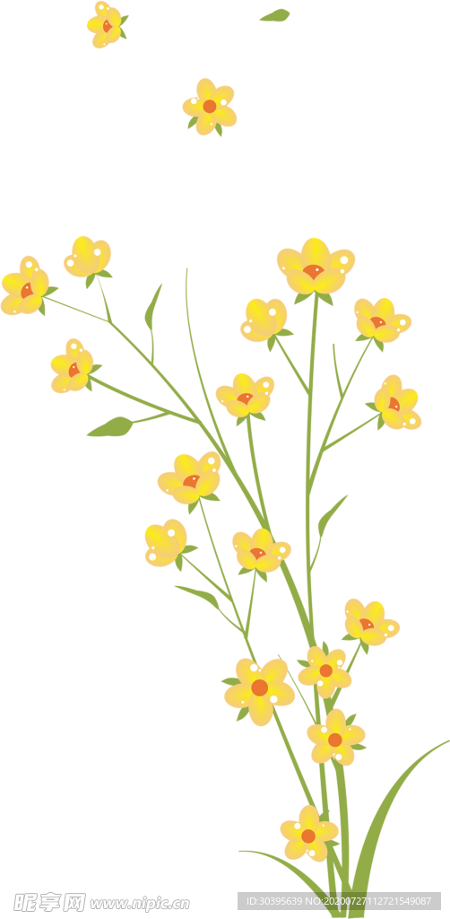 鲜花素材
