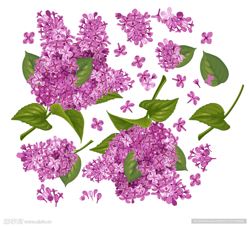 鲜花素材