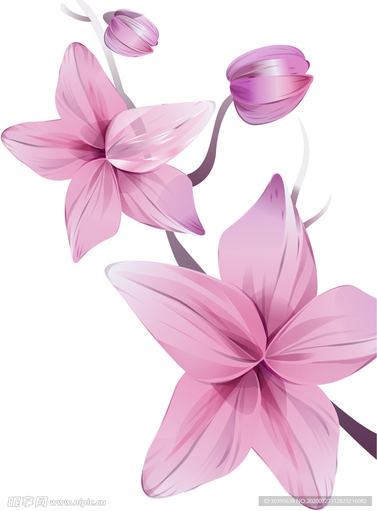 鲜花素材