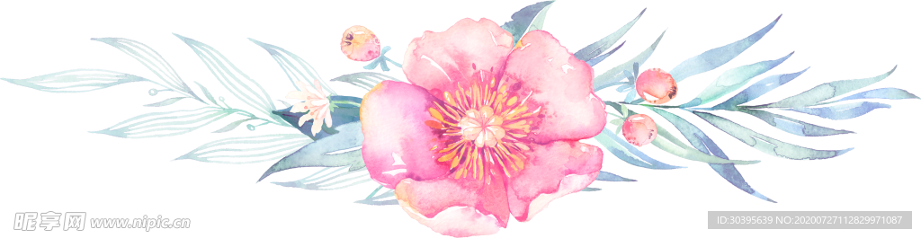 鲜花素材