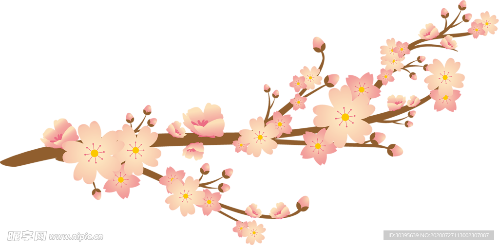 鲜花素材