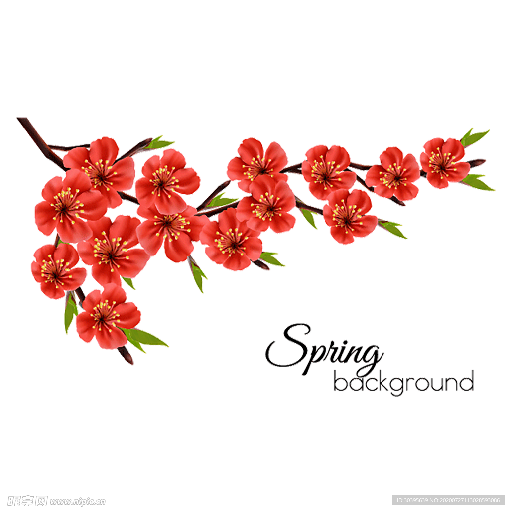 鲜花素材