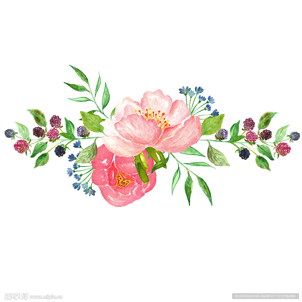 鲜花素材